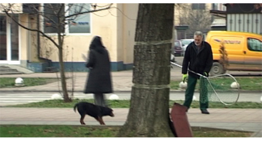 Manje pasa lutalica na ulicama pećinačkih naselja